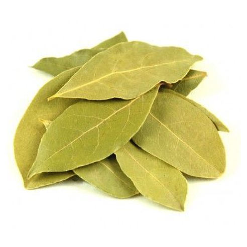 Laurel Hoja Primera Laurel Hoja Primera - Imagen 1