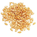 Lino Dorado Semillas