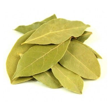 Laurel Hoja Primera